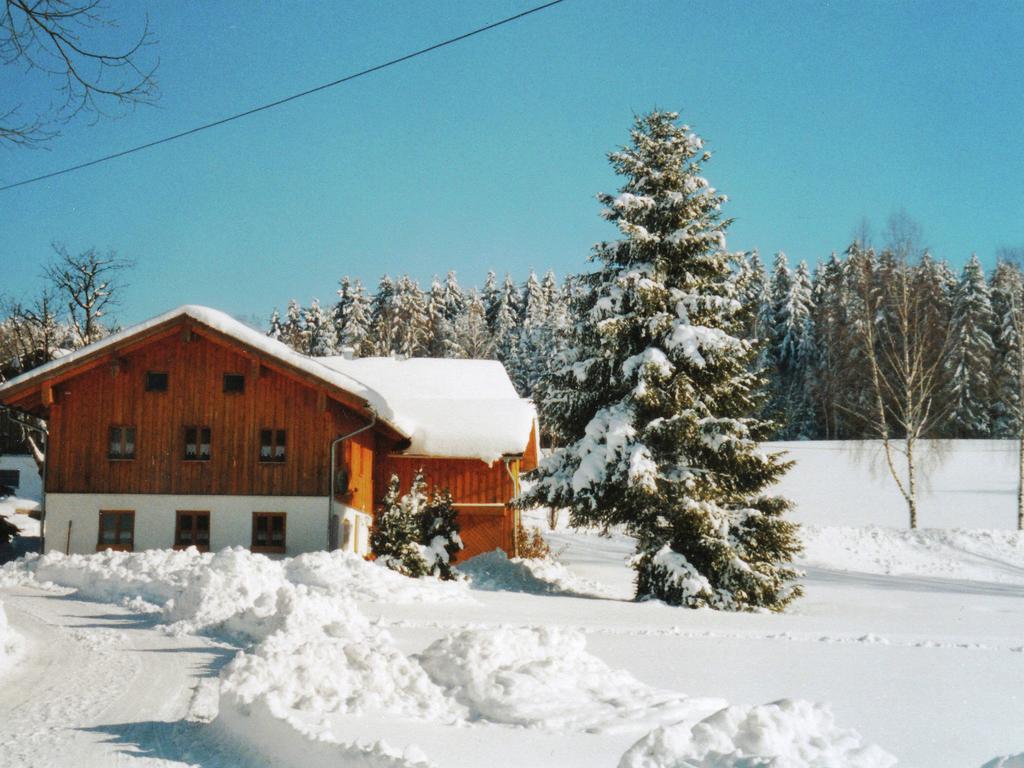 Lovely Holiday Home In Viechtach Near The Forest المظهر الخارجي الصورة