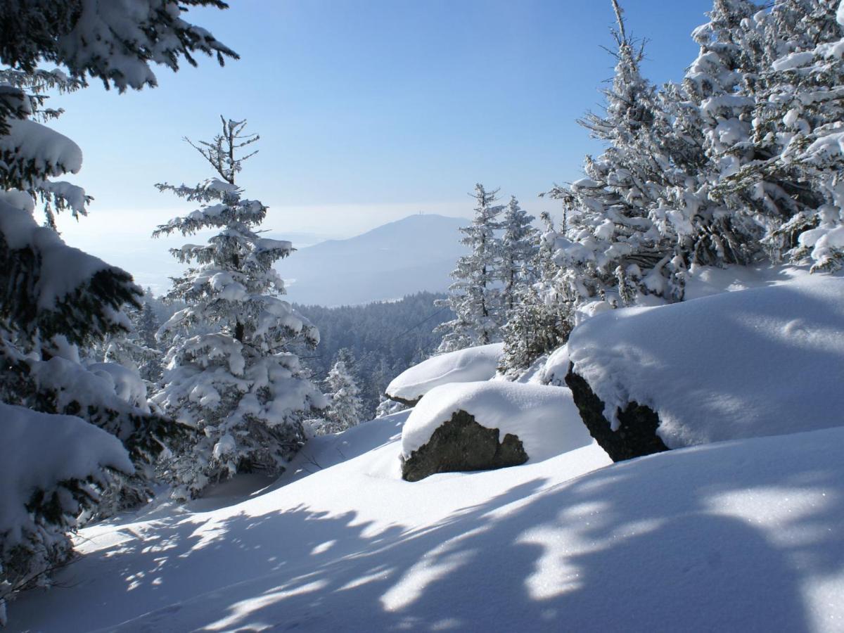 Lovely Holiday Home In Viechtach Near The Forest المظهر الخارجي الصورة
