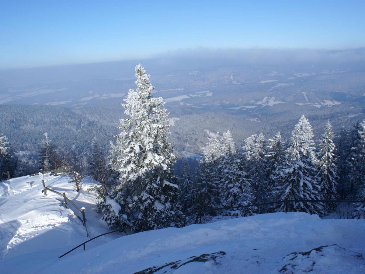 Lovely Holiday Home In Viechtach Near The Forest المظهر الخارجي الصورة