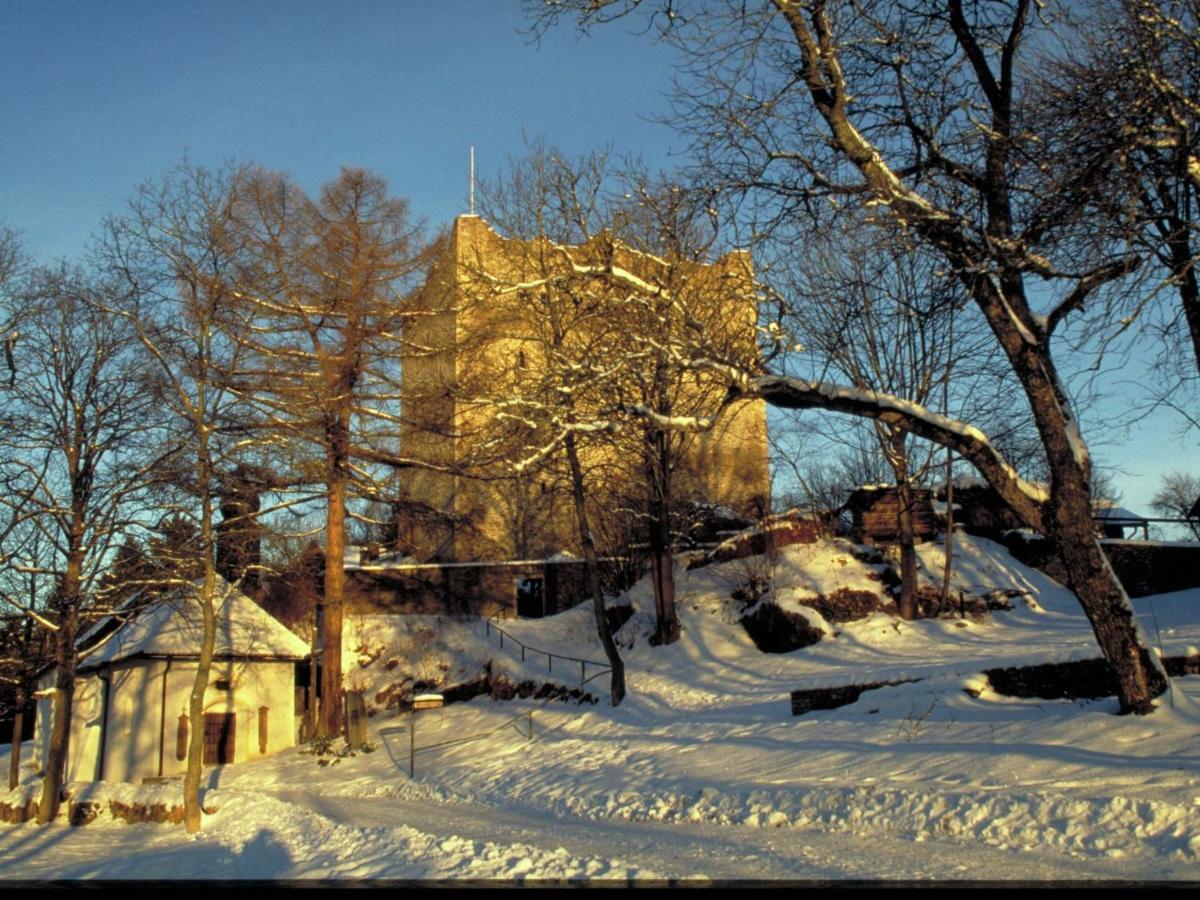 Lovely Holiday Home In Viechtach Near The Forest المظهر الخارجي الصورة